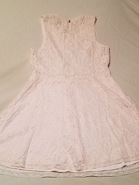 Gianni Bini Pale Pink Lace Fit-and-Flare Dress